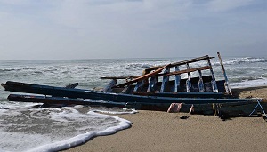 mare monstrum