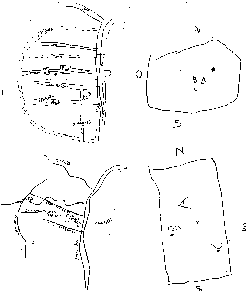 citta di Torino disegnata da un cieco