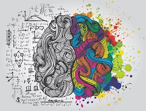 cervello linguaggio