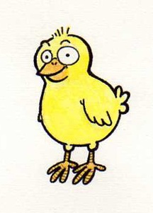 Pulcino