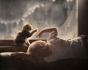 bambino gatto