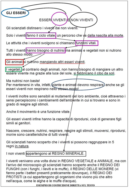 costruzione diretta sul testo